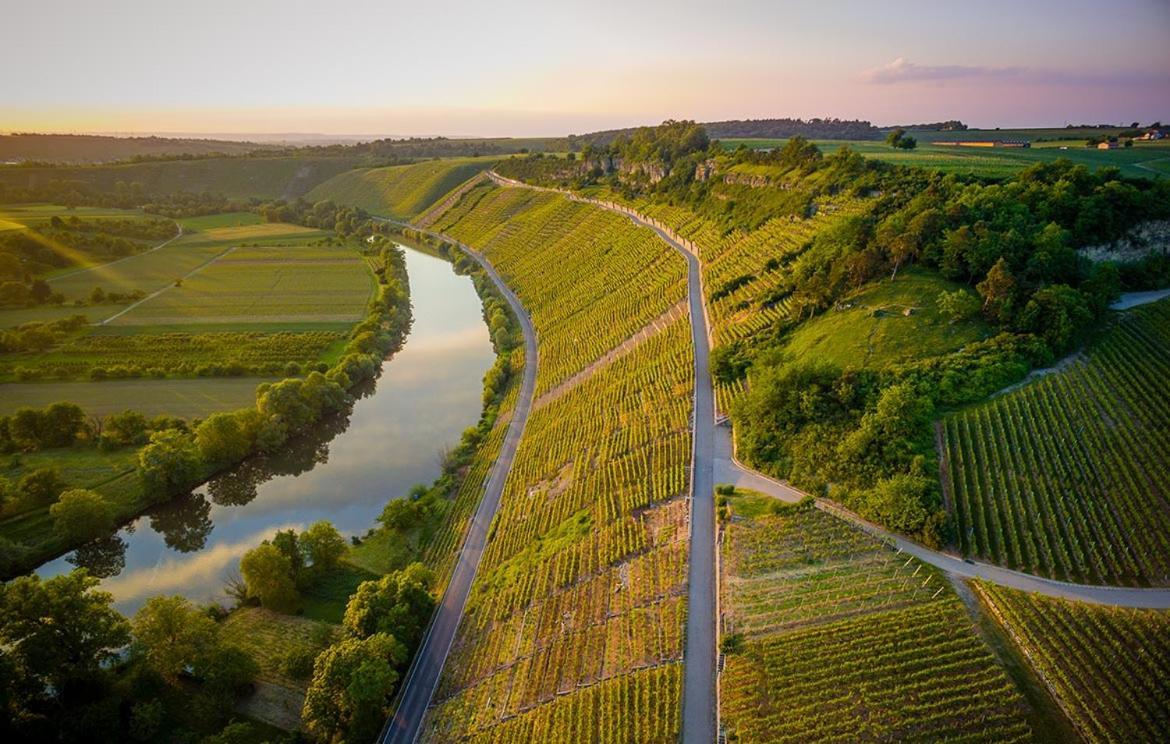 Exnicrum Wein . Genuss . Hotel Hessigheim Екстер'єр фото